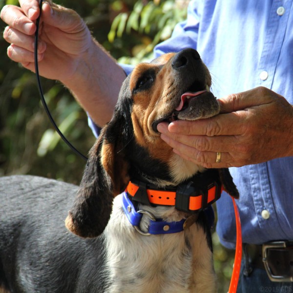 Garmin naprava za pse T5.