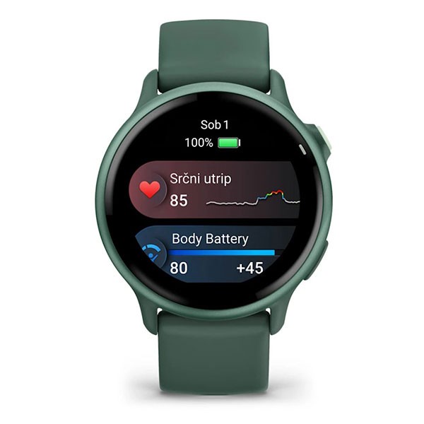 Garmin vivoactive 6