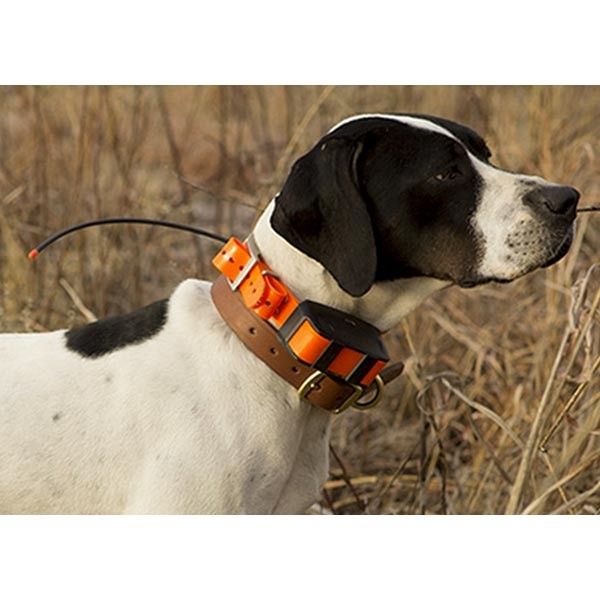 Garmin naprava za pse T5.