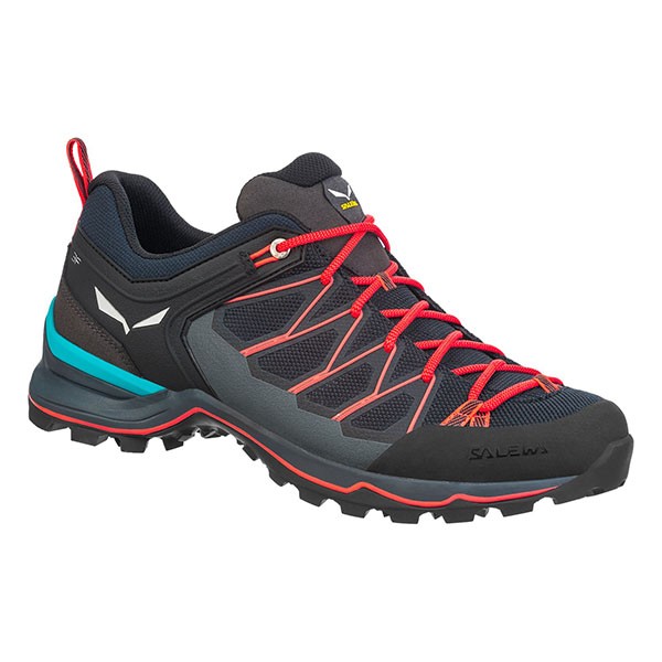 Salewa MTN Trainer Lite.