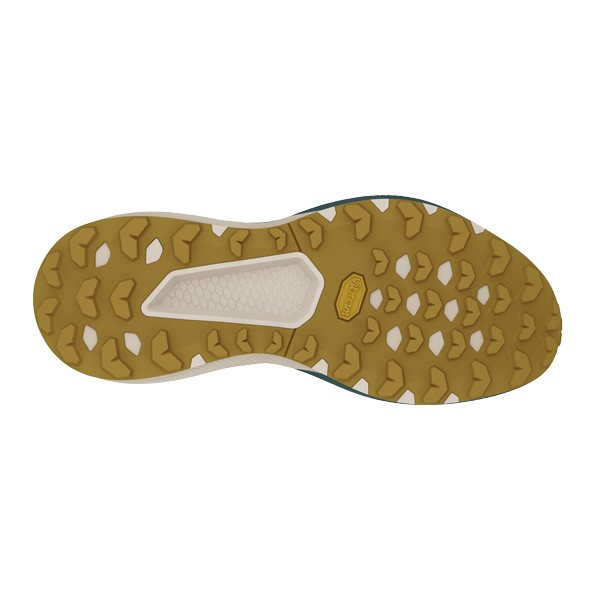 Moški čevlji Dynafit Trail