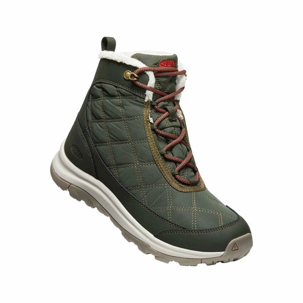 Keen ženski škornji Terradora Wintry.