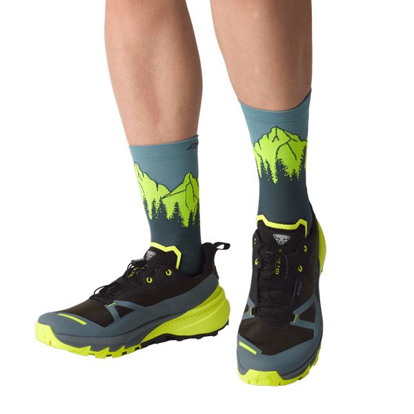 Dynafit Traverse 2 GTX, moški tekaški čevlji