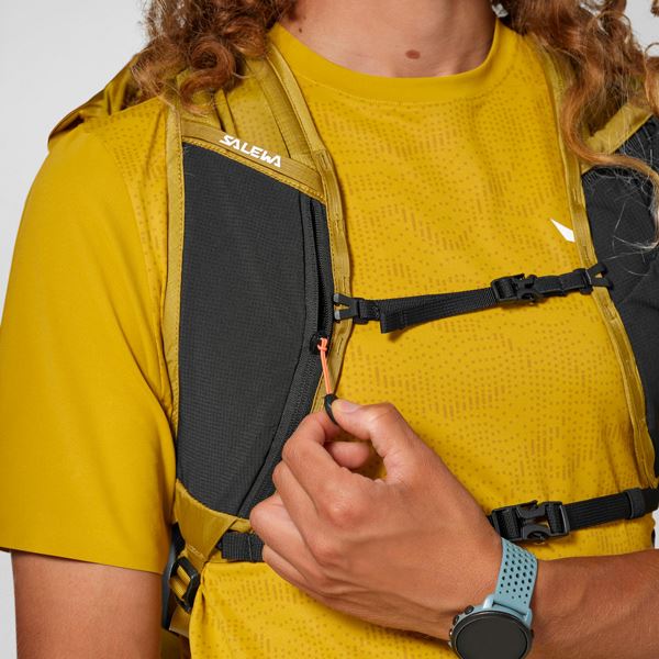 Salewa Pedroc Core 22L, pohodni nahrbtnik