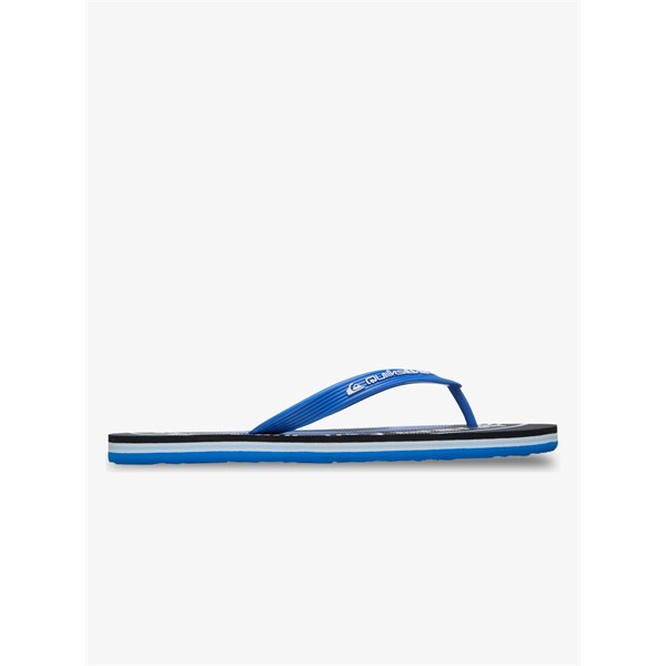 Quiksilver moške japonke Molokai.