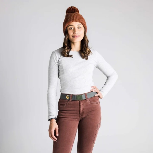 Arcade pas national parks Yellowstone.