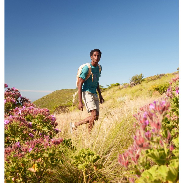 Moške kratke pohodne hlače Columbia Silver Ridge