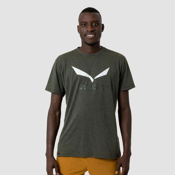 Salewa Solidlogo Dry, moška aktivna majica