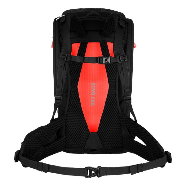 Salewa Alp Trainer 20 L, ženski pohodni nahrbtnik