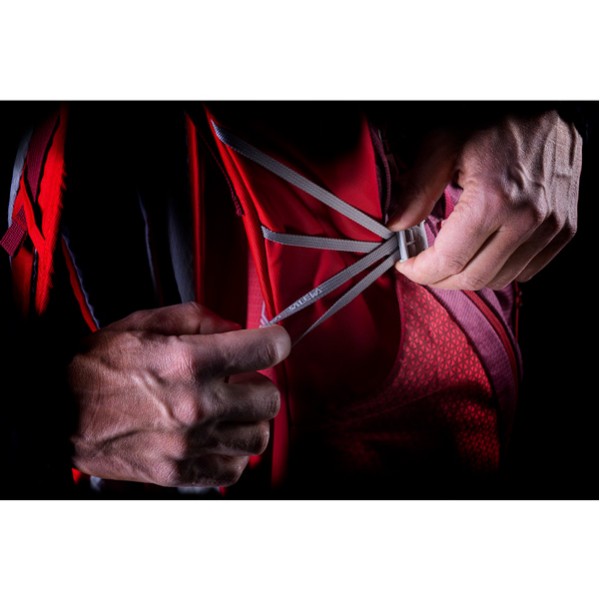 Salewa nahrbtnik Alp Trainer.