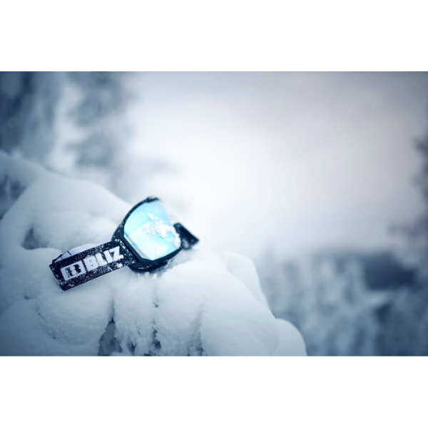 Bliz smučarska očala Rave Nano Optics Nordic Light