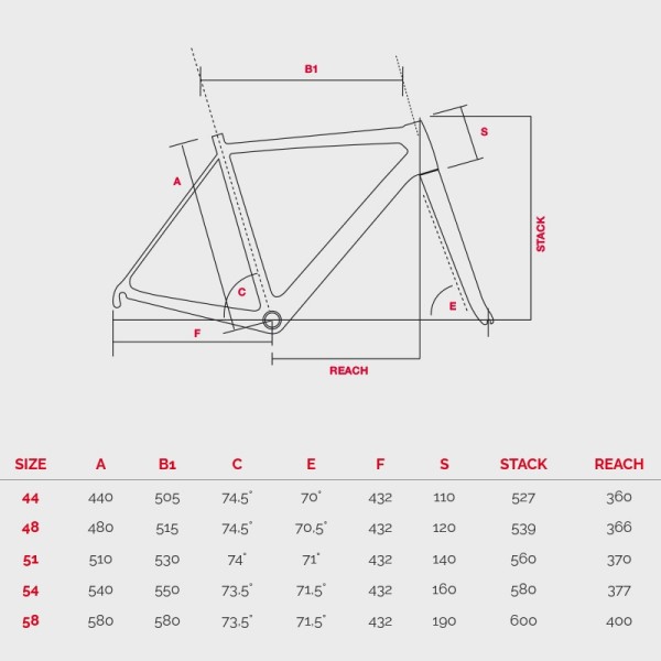 Bottecchia Gravel kolo Monster C06.