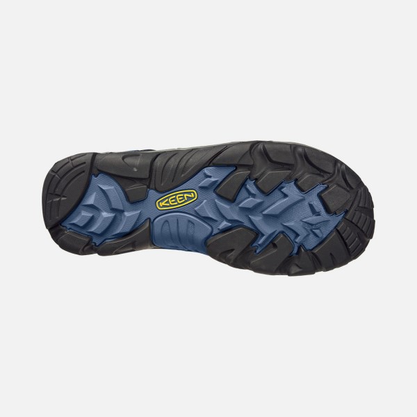 Keen moški čevlji Wanderer Mid WP.