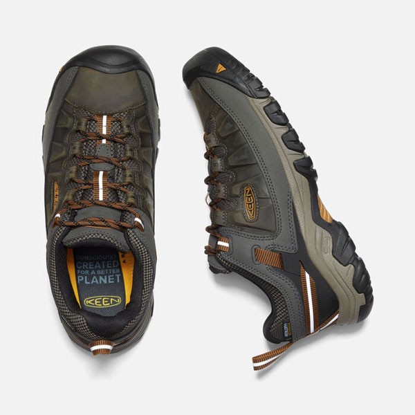 Keen moški pohodni čevlji Targhee III.