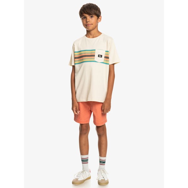 Quiksilver fantovska majica Surfadelica Stripe.