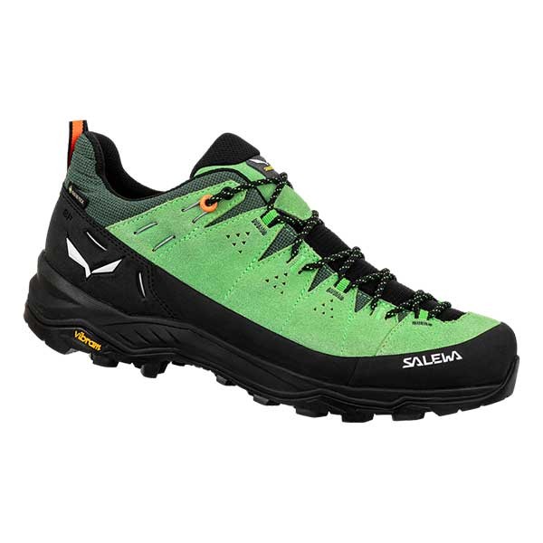 Salewa moški čevlji alp trainer 2 GTX.