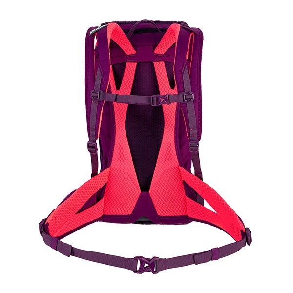 Salewa nahrbtnik Alptrainer 20 L.