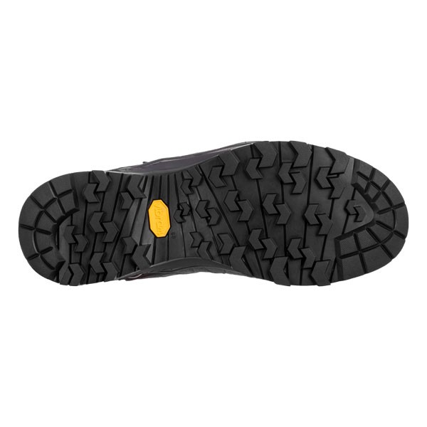 Salewa ženski čevlji Alp Trainer Mid 2 GTX.