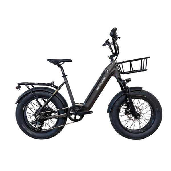 Električno mestno kolo Bottecchia Fatty