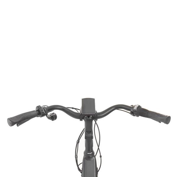 Električno mestno kolo Rock Machine Cityride E250