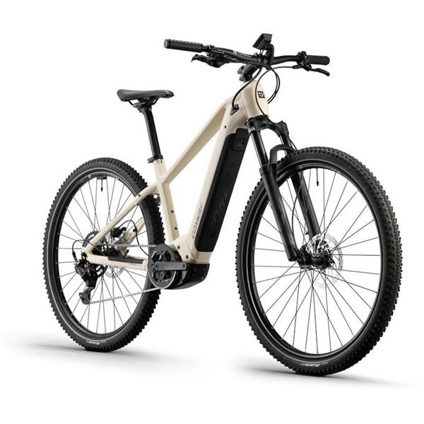 Električno kolo Cairon S 1.0 Diamond 625Wh